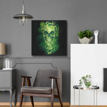 Luxe Metal Art 'Smoky Skull' by Flyland Designs, Metal Wall Art,24x24