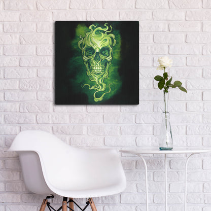 Luxe Metal Art 'Smoky Skull' by Flyland Designs, Metal Wall Art,24x24
