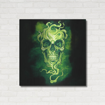 Luxe Metal Art 'Smoky Skull' by Flyland Designs, Metal Wall Art,36x36