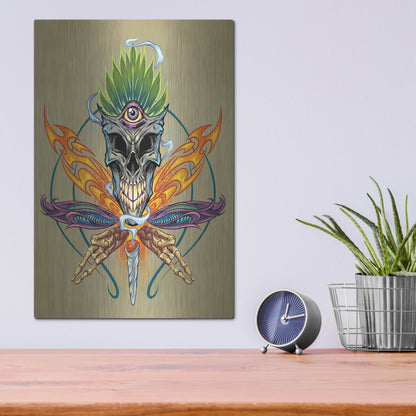 Luxe Metal Art 'Cannabis Skull Illustration' by Flyland Designs, Metal Wall Art,12x16
