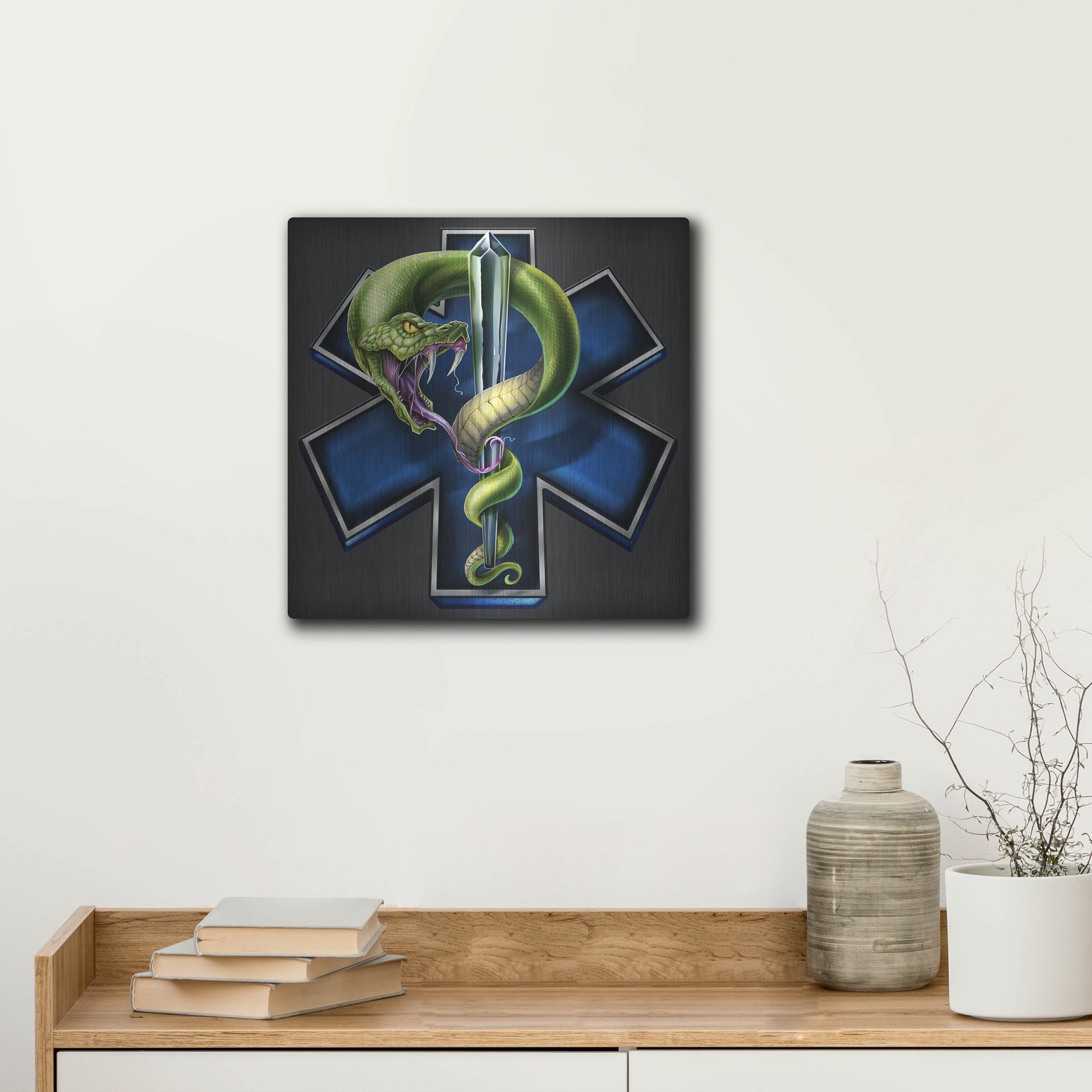 Luxe Metal Art 'EMS Star of Life With Snake' by Flyland Designs, Metal Wall Art,12x12
