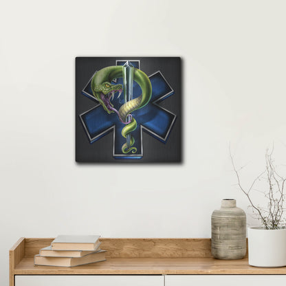 Luxe Metal Art 'EMS Star of Life With Snake' by Flyland Designs, Metal Wall Art,12x12