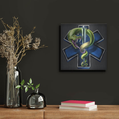 Luxe Metal Art 'EMS Star of Life With Snake' by Flyland Designs, Metal Wall Art,12x12