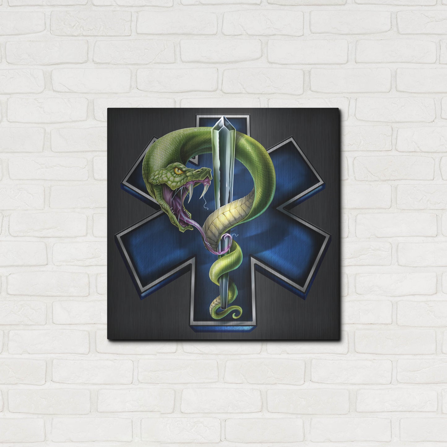 Luxe Metal Art 'EMS Star of Life With Snake' by Flyland Designs, Metal Wall Art,24x24