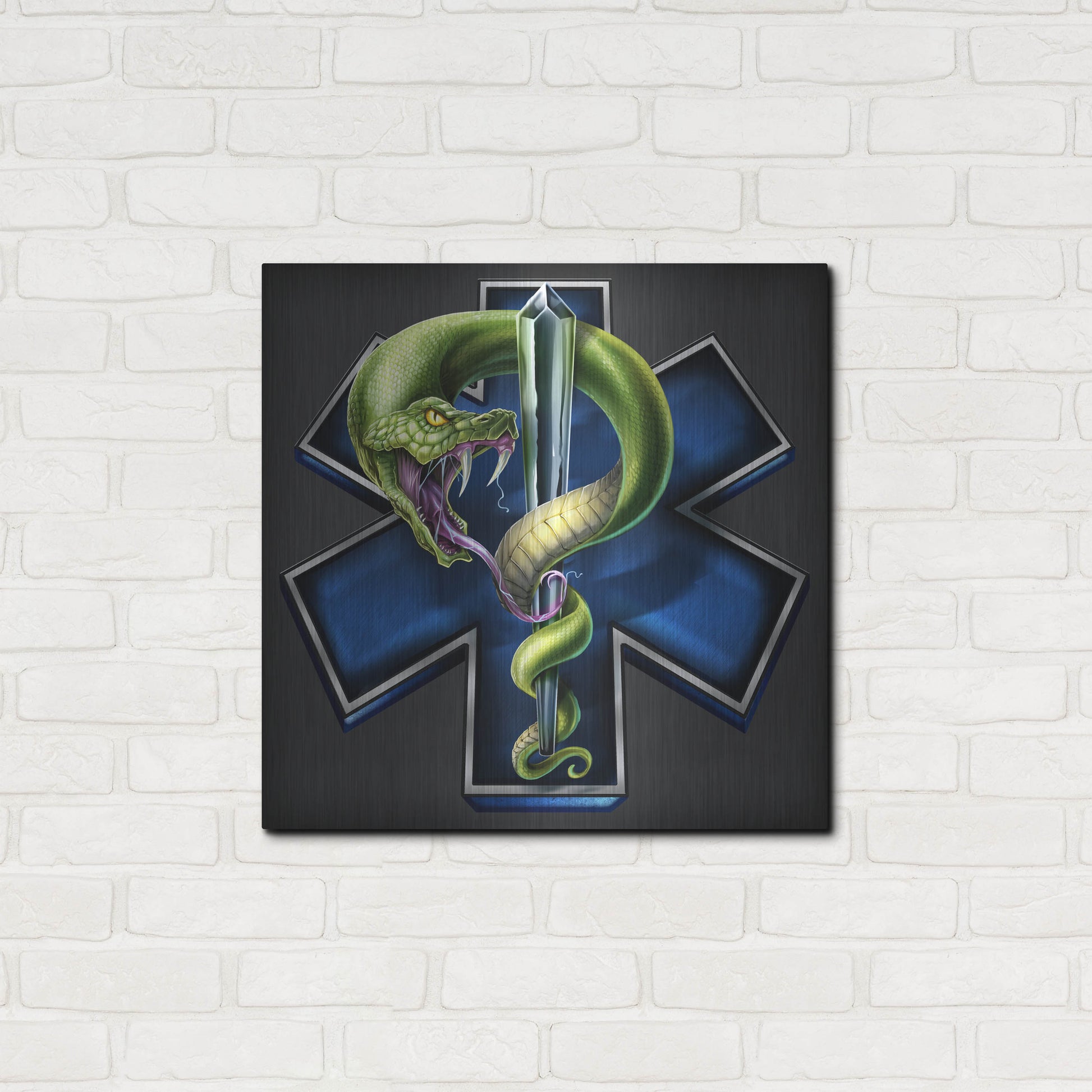 Luxe Metal Art 'EMS Star of Life With Snake' by Flyland Designs, Metal Wall Art,24x24