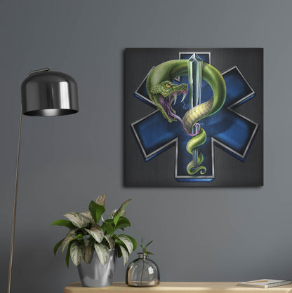 Luxe Metal Art 'EMS Star of Life With Snake' by Flyland Designs, Metal Wall Art,24x24