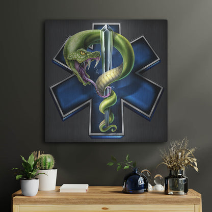 Luxe Metal Art 'EMS Star of Life With Snake' by Flyland Designs, Metal Wall Art,24x24