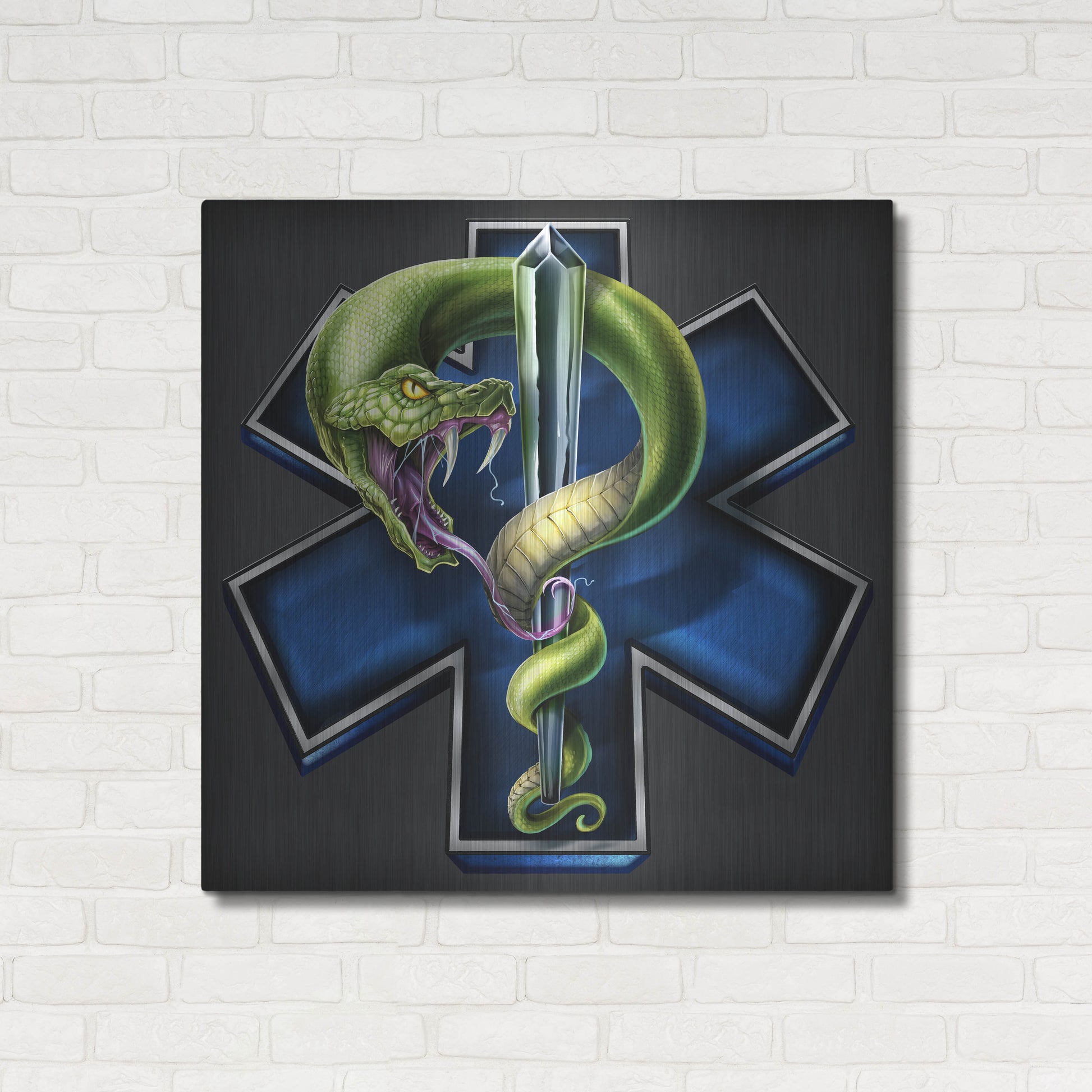 Luxe Metal Art 'EMS Star of Life With Snake' by Flyland Designs, Metal Wall Art,36x36