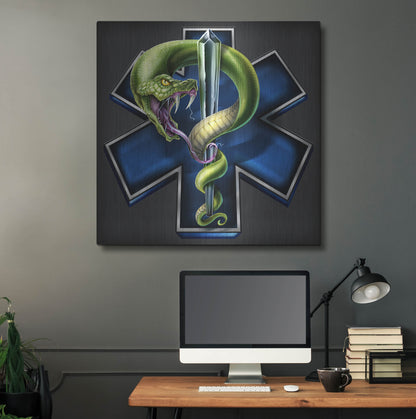 Luxe Metal Art 'EMS Star of Life With Snake' by Flyland Designs, Metal Wall Art,36x36