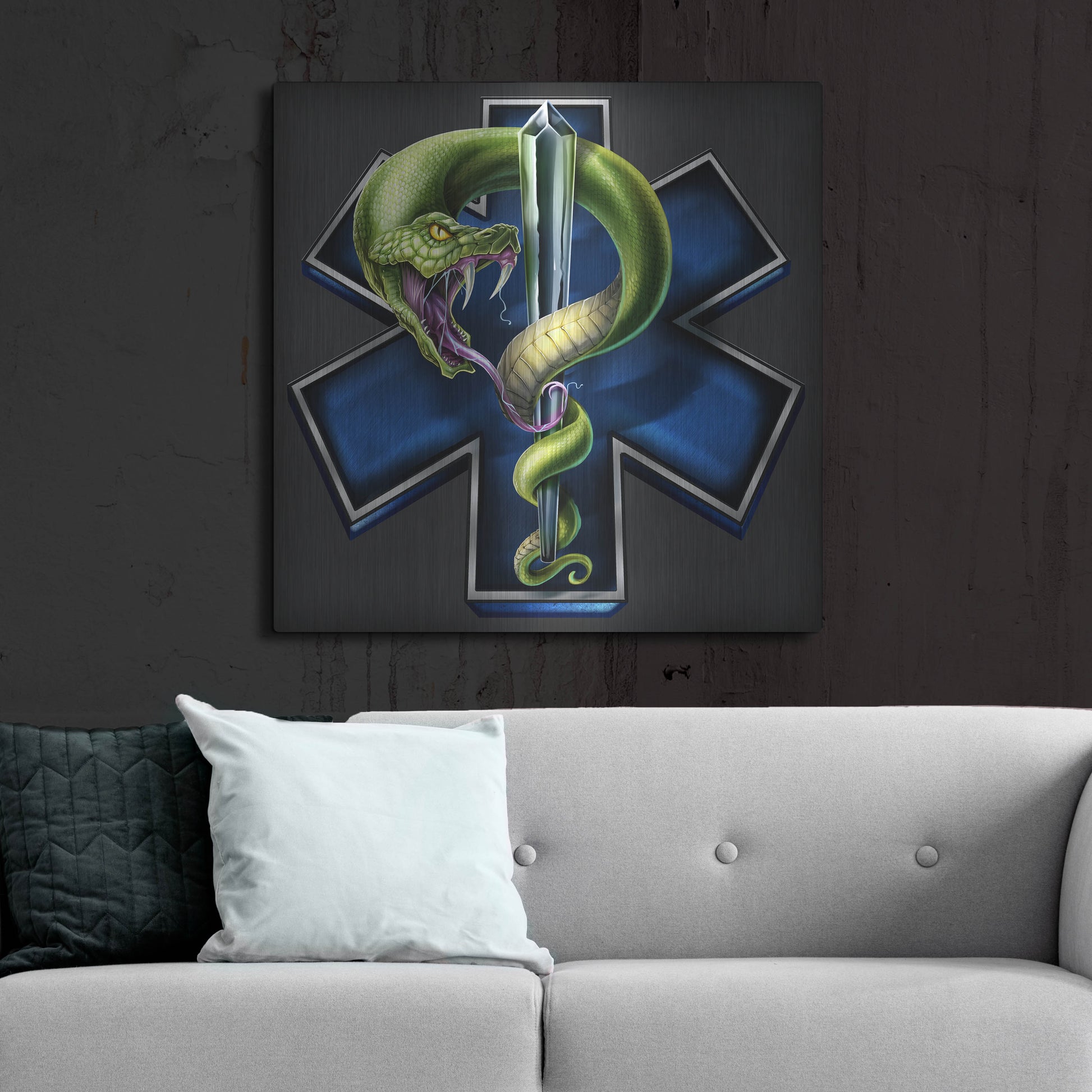 Luxe Metal Art 'EMS Star of Life With Snake' by Flyland Designs, Metal Wall Art,36x36