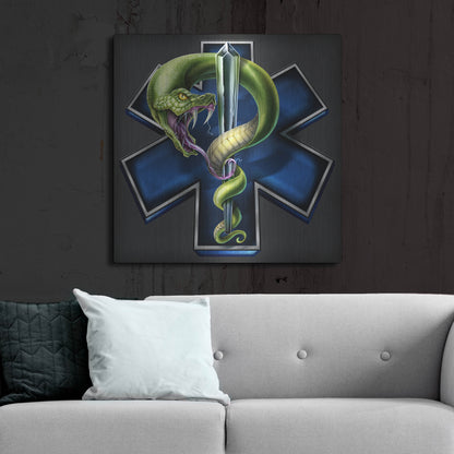 Luxe Metal Art 'EMS Star of Life With Snake' by Flyland Designs, Metal Wall Art,36x36