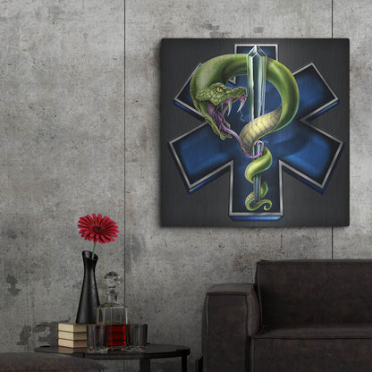 Luxe Metal Art 'EMS Star of Life With Snake' by Flyland Designs, Metal Wall Art,36x36