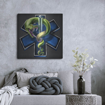 Luxe Metal Art 'EMS Star of Life With Snake' by Flyland Designs, Metal Wall Art,36x36