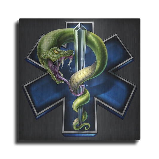 Luxe Metal Art 'EMS Star of Life With Snake' by Flyland Designs, Metal Wall Art