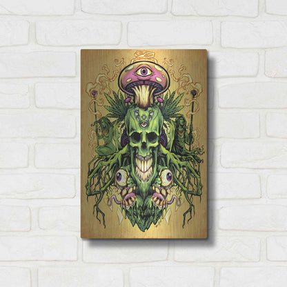 Luxe Metal Art 'Marijuana Skull and Mushrooms' by Flyland Designs, Metal Wall Art,12x16