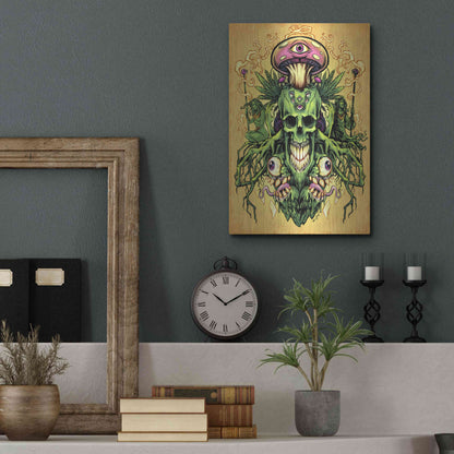 Luxe Metal Art 'Marijuana Skull and Mushrooms' by Flyland Designs, Metal Wall Art,12x16
