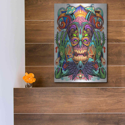 Luxe Metal Art 'Psychedelic Tiki Creature' by Flyland Designs, Metal Wall Art,12x16