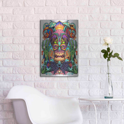 Luxe Metal Art 'Psychedelic Tiki Creature' by Flyland Designs, Metal Wall Art,16x24