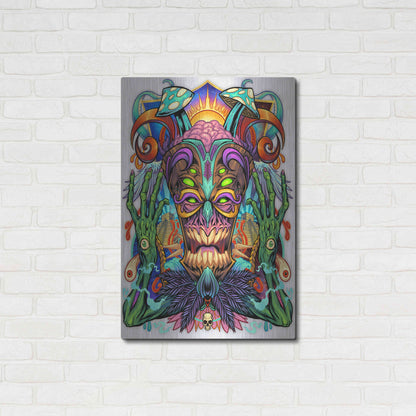 Luxe Metal Art 'Psychedelic Tiki Creature' by Flyland Designs, Metal Wall Art,24x36