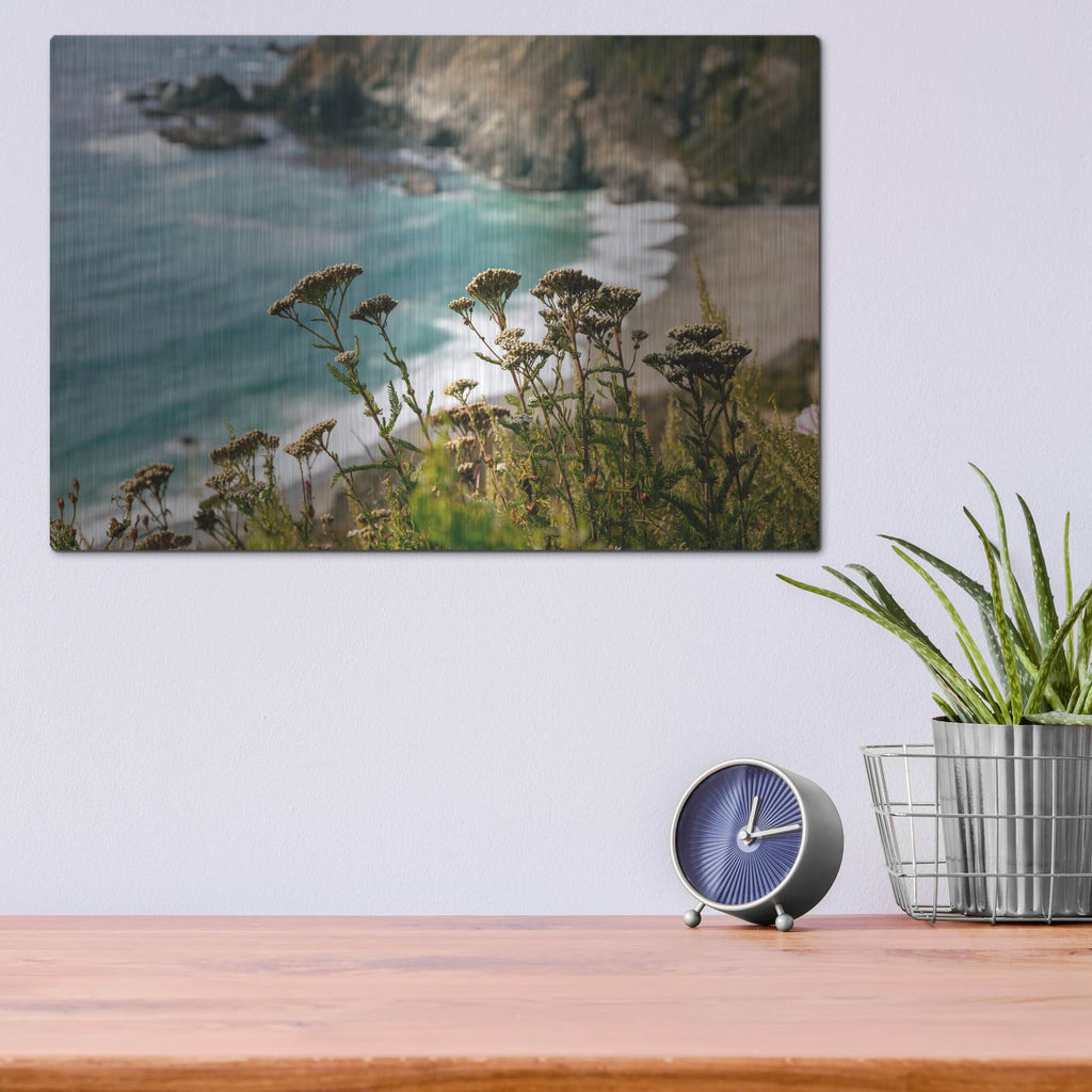 'California - Coast Grass' by Luxe Portfolio – Metal Wall Art, 16x12 room view