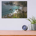 'California - Coast Grass' by Luxe Portfolio – Metal Wall Art, 16x12 room view