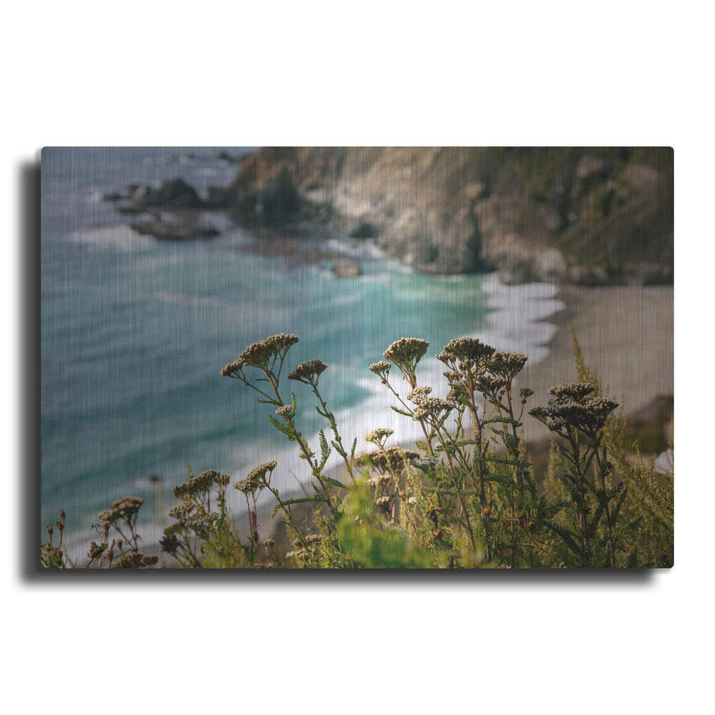 'California - Coast Grass' by Luxe Portfolio – Metal Wall Art