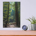 'Trees 3' by Luxe Portfolio – Metal Wall Art, 12x16 room view
