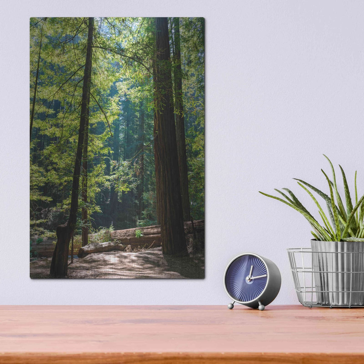 'Trees 3' by Luxe Portfolio – Metal Wall Art, 12x16 room view