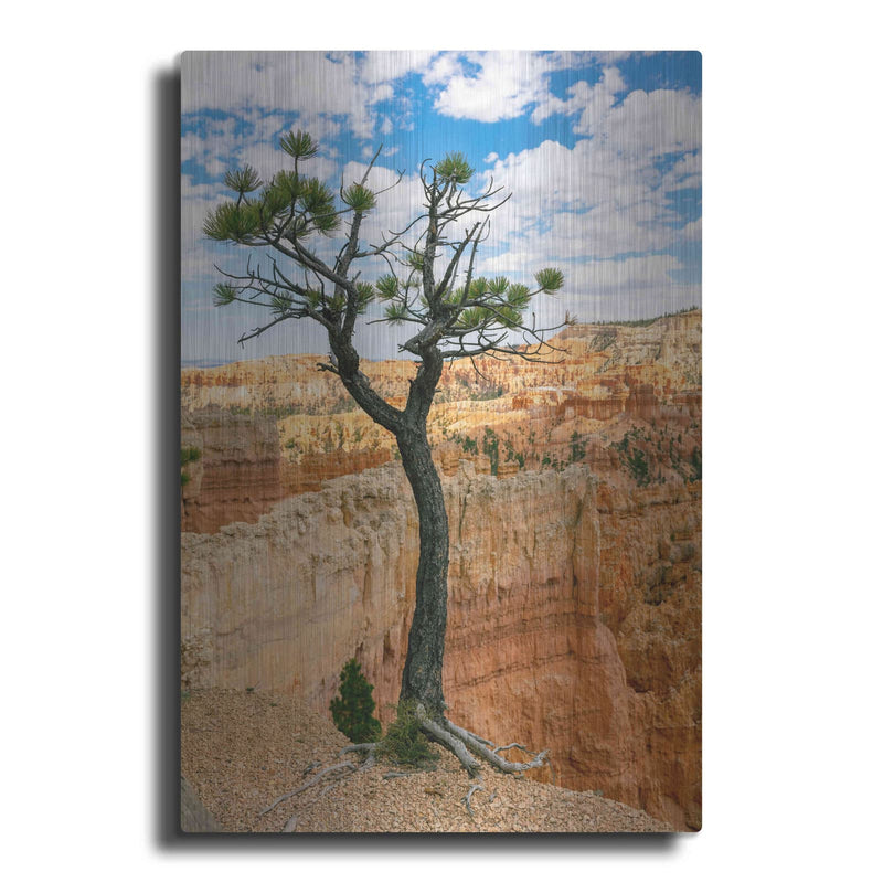 'Utah - Bryce Canyon Tree' by Luxe Portfolio – Metal Wall Art