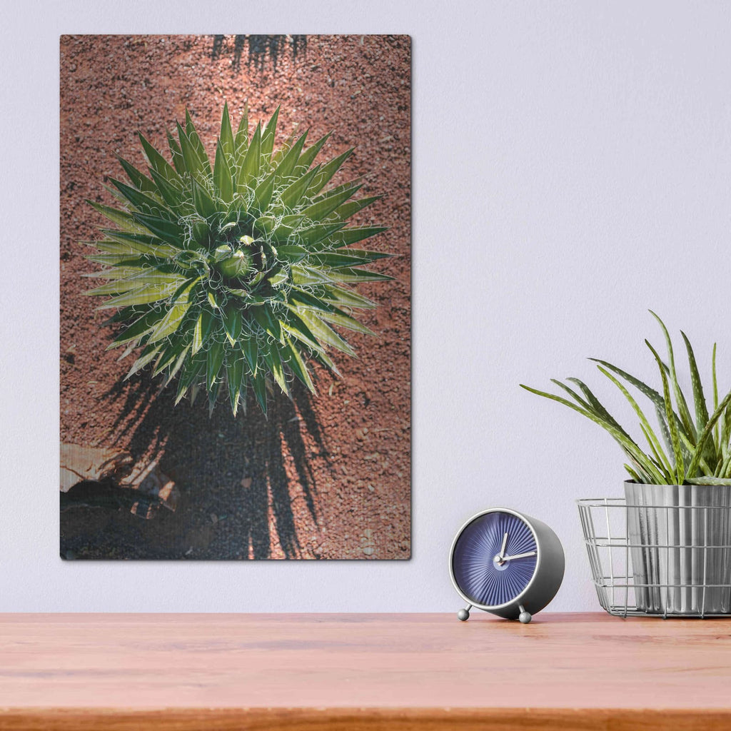 'Utah - Cactus 2' by Luxe Portfolio – Metal Wall Art, 12x16 room view