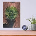 'Utah - Cactus 2' by Luxe Portfolio – Metal Wall Art, 12x16 room view