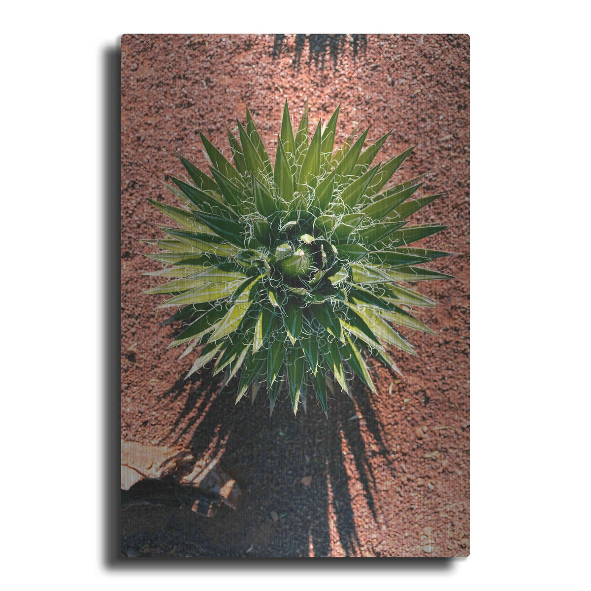 'Utah - Cactus 2' by Luxe Portfolio – Metal Wall Art