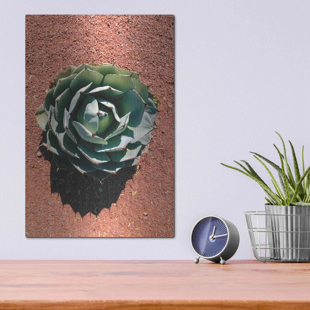'Utah - Cactus 3' by Luxe Portfolio – Metal Wall Art, 12x16 room view