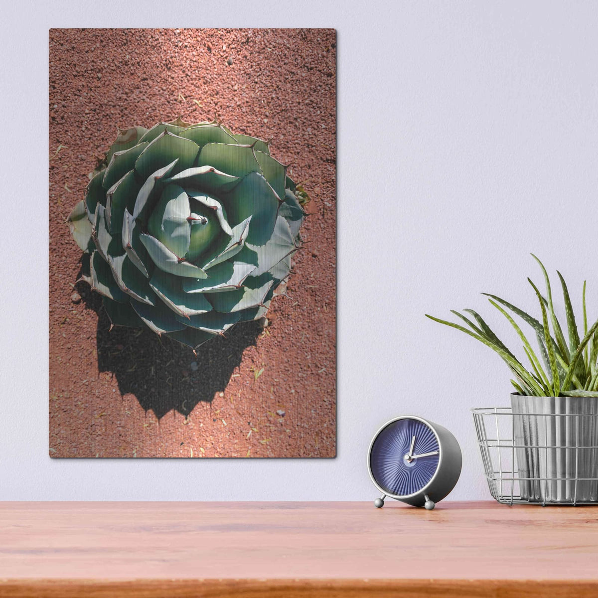 'Utah - Cactus 3' by Luxe Portfolio – Metal Wall Art, 12x16 room view