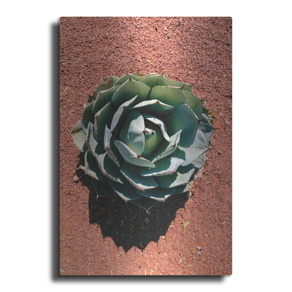 'Utah - Cactus 3' by Luxe Portfolio – Metal Wall Art
