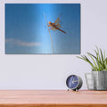'Utah - Insect' by Luxe Portfolio – Metal Wall Art, 16x12 room view