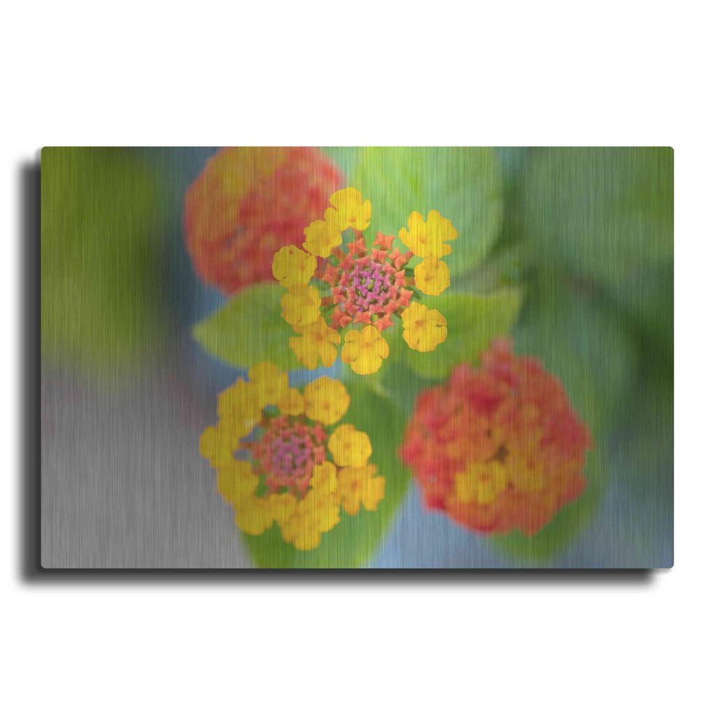 'Flowers' by Luxe Portfolio – Metal Wall Art