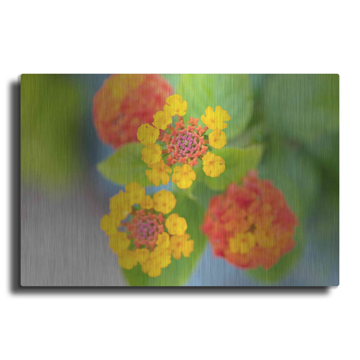 'Flowers' by Luxe Portfolio – Metal Wall Art