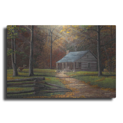 Luxe Metal Art 'Old Home Place' by Gary Adams, Metal Wall Art