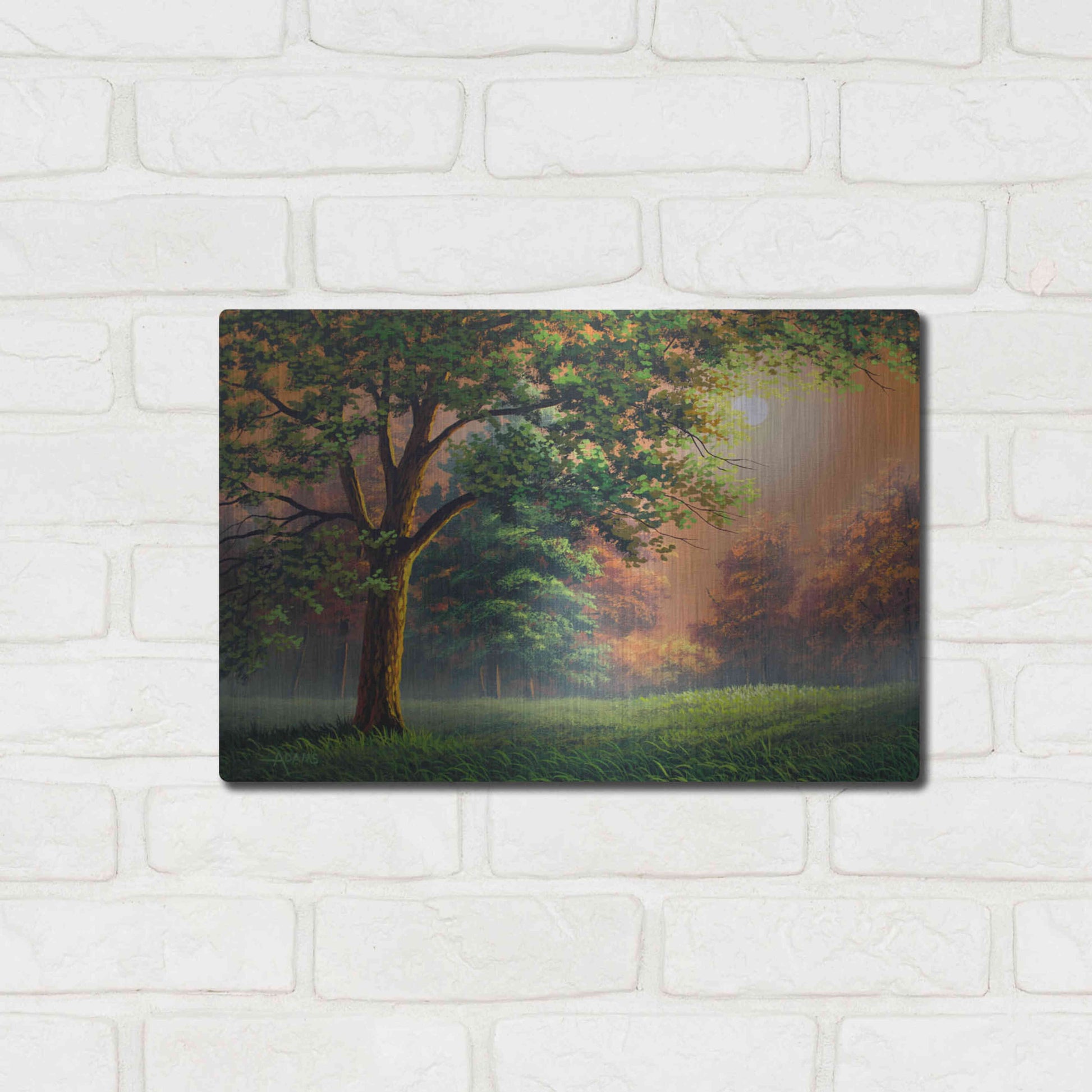 Luxe Metal Art 'Evening Radiance' by Gary Adams, Metal Wall Art,16x12