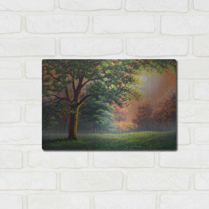 Luxe Metal Art 'Evening Radiance' by Gary Adams, Metal Wall Art,16x12