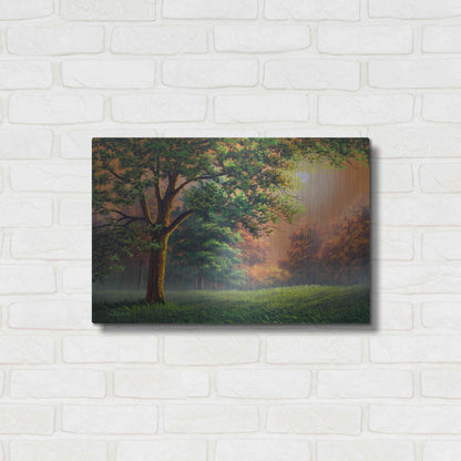 Luxe Metal Art 'Evening Radiance' by Gary Adams, Metal Wall Art,24x16