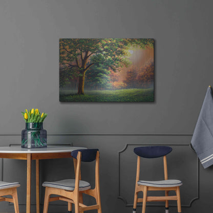 Luxe Metal Art 'Evening Radiance' by Gary Adams, Metal Wall Art,36x24