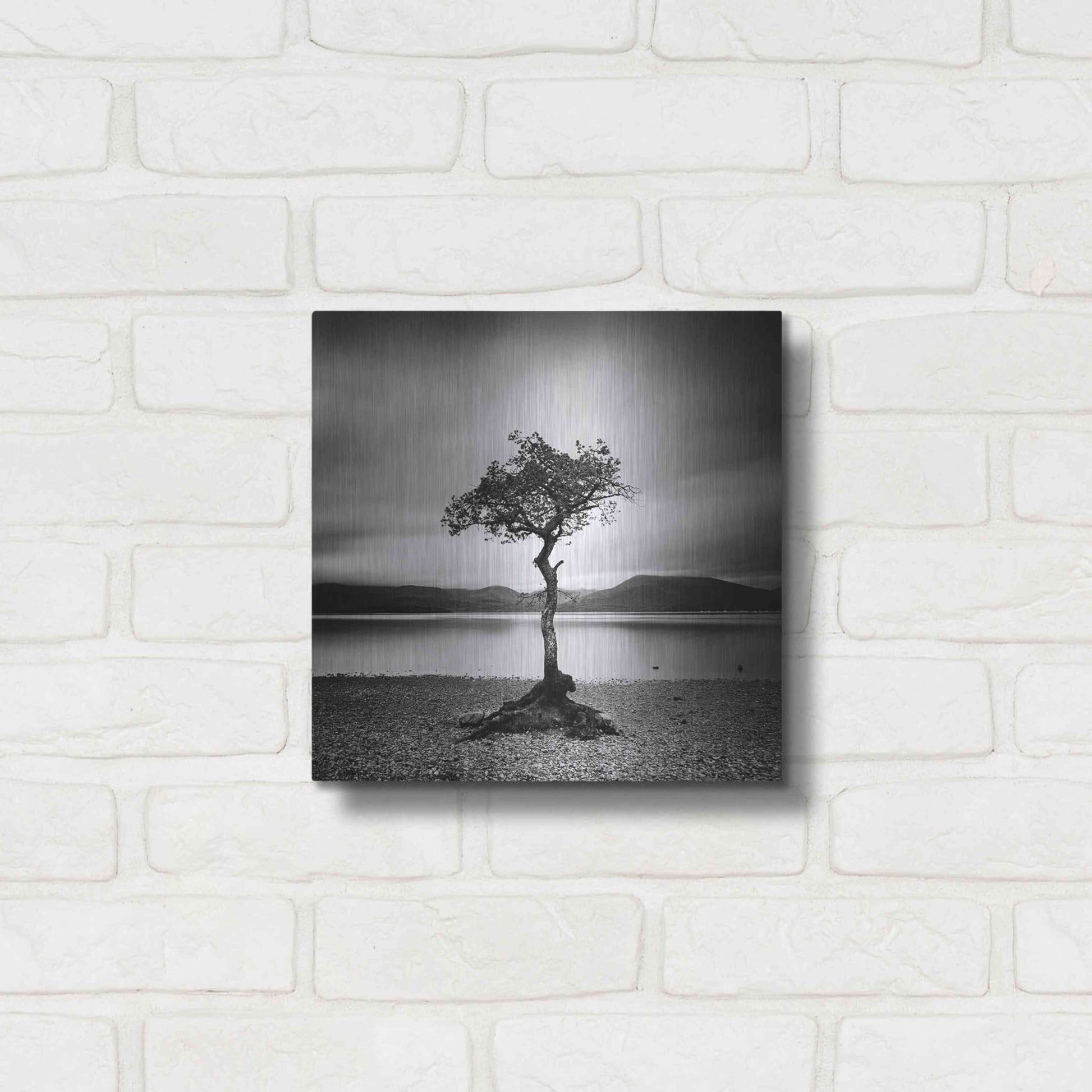 Luxe Metal Art 'Millarrochy Tree' by Nina Papiorek, Metal Wall Art,12x12