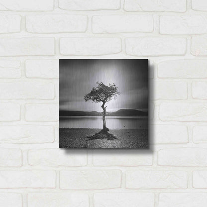 Luxe Metal Art 'Millarrochy Tree' by Nina Papiorek, Metal Wall Art,12x12