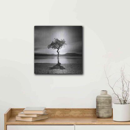 Luxe Metal Art 'Millarrochy Tree' by Nina Papiorek, Metal Wall Art,12x12