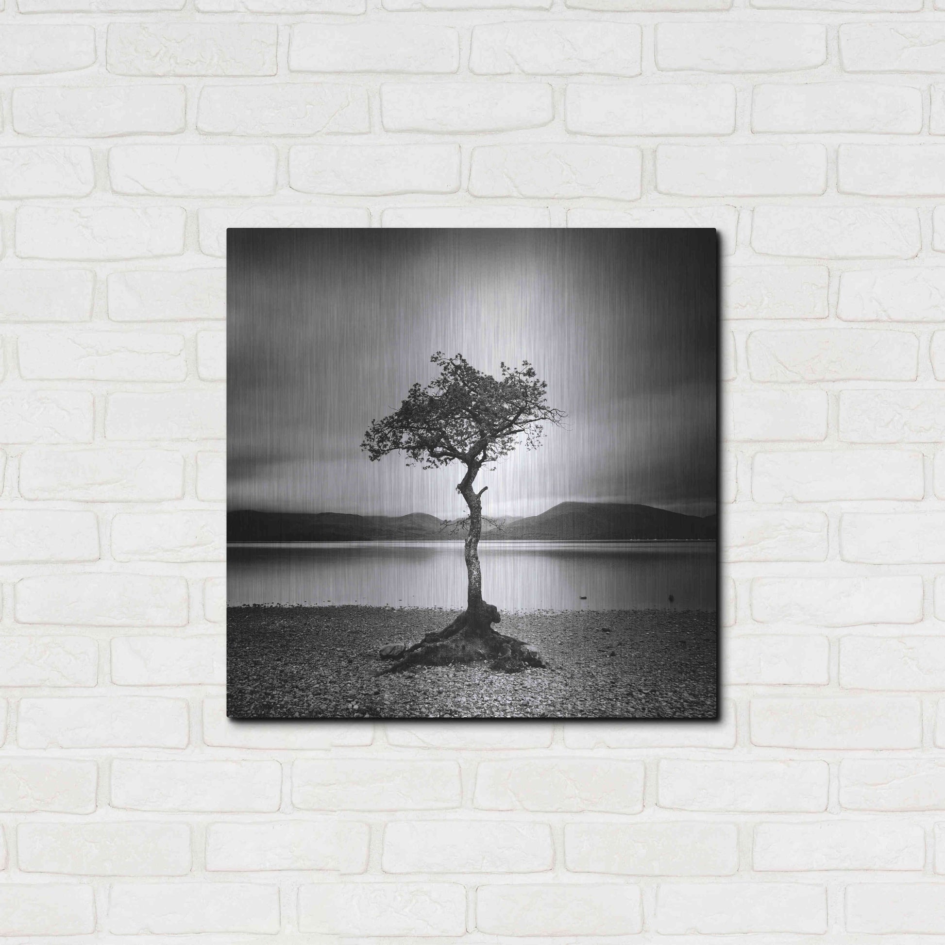 Luxe Metal Art 'Millarrochy Tree' by Nina Papiorek, Metal Wall Art,24x24