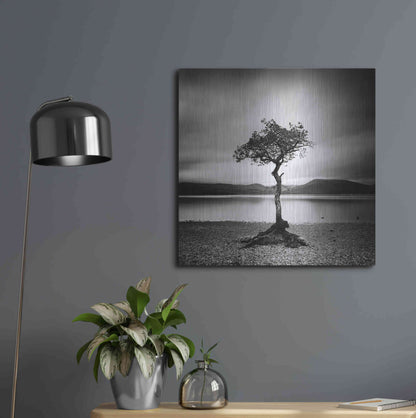 Luxe Metal Art 'Millarrochy Tree' by Nina Papiorek, Metal Wall Art,24x24