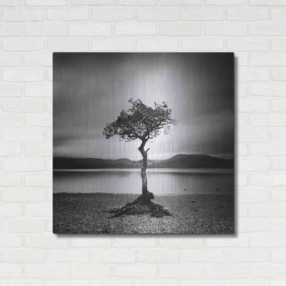 Luxe Metal Art 'Millarrochy Tree' by Nina Papiorek, Metal Wall Art,36x36