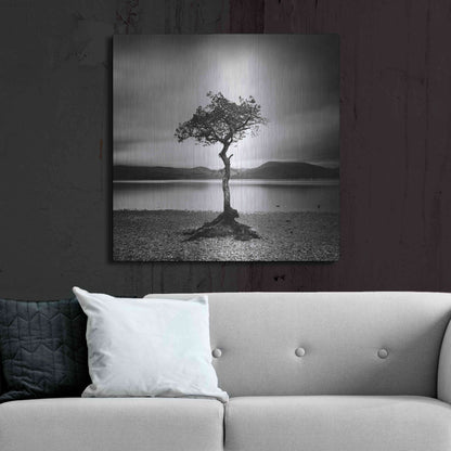 Luxe Metal Art 'Millarrochy Tree' by Nina Papiorek, Metal Wall Art,36x36